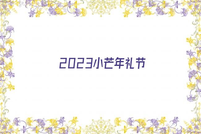 2023小芒年礼节剧照