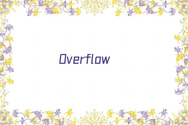 Overflow剧照