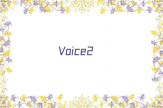 Voice2剧照